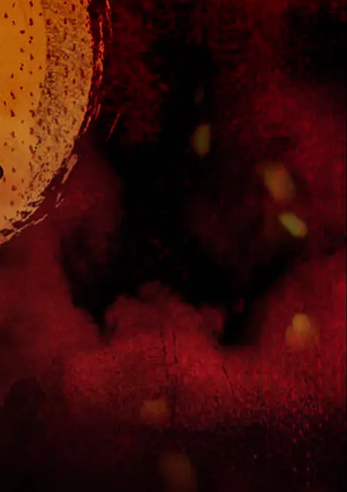 Wanted Dead or a Wild